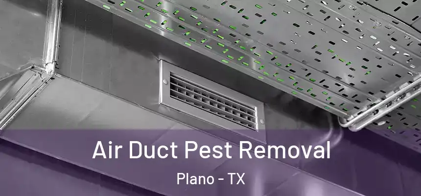 Air Duct Pest Removal Plano - TX