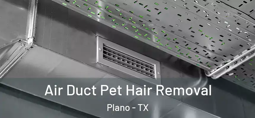 Air Duct Pet Hair Removal Plano - TX