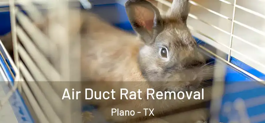 Air Duct Rat Removal Plano - TX