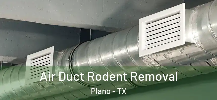  Air Duct Rodent Removal Plano - TX