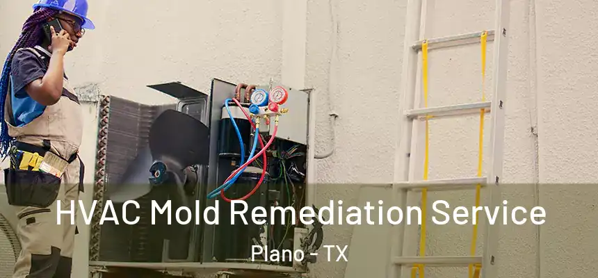  HVAC Mold Remediation Service Plano - TX