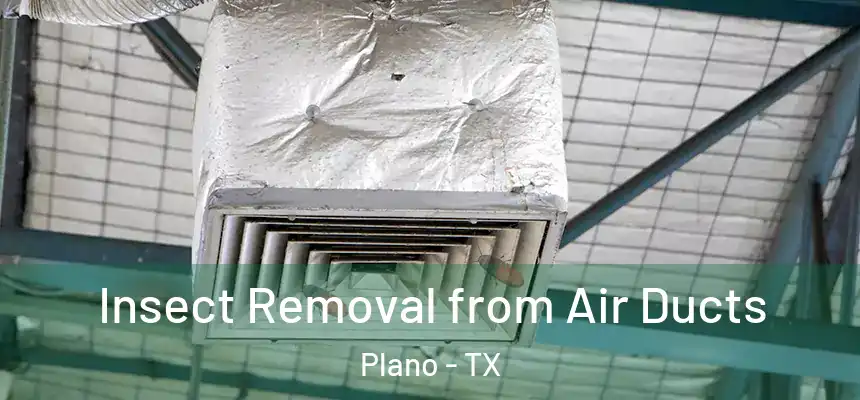 Insect Removal from Air Ducts Plano - TX