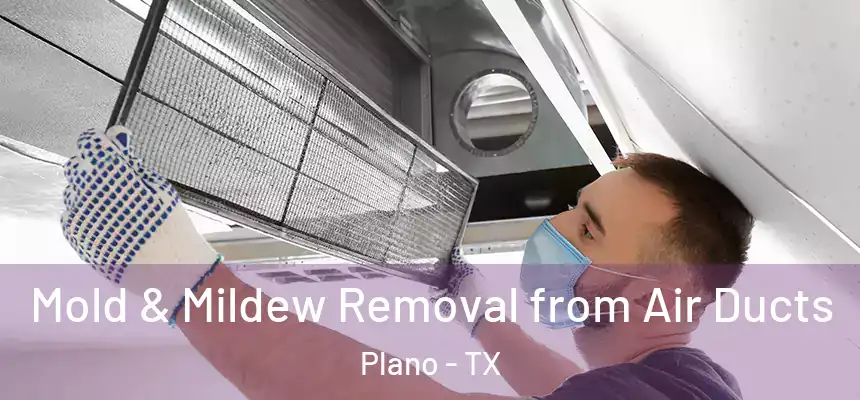 Mold & Mildew Removal from Air Ducts Plano - TX