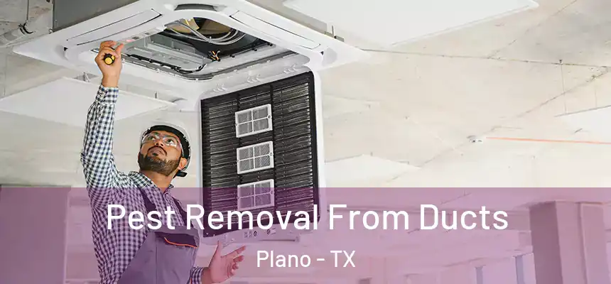Pest Removal From Ducts Plano - TX