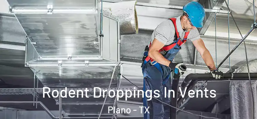  Rodent Droppings In Vents Plano - TX