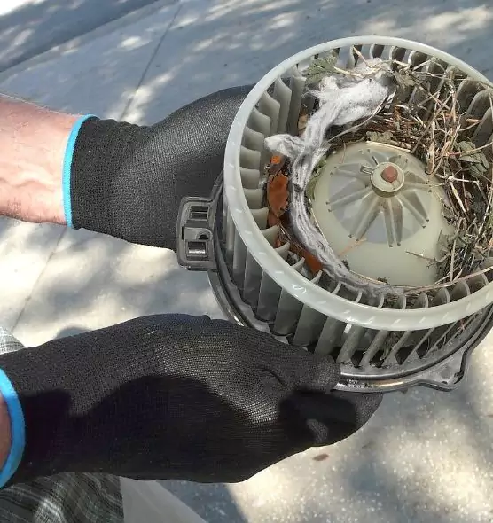 About Air Duct Mice Removal in Plano, TX