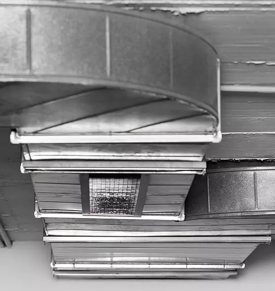 Professional Air Duct Pest Removal in Plano, TX