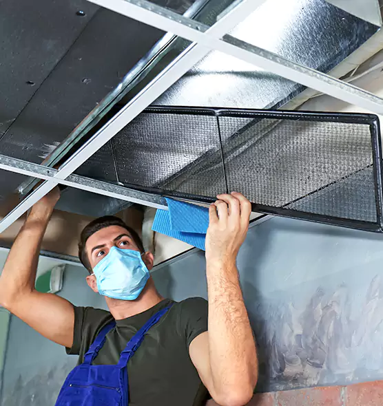 Professional Air Duct Pollen Cleaning in Plano, TX