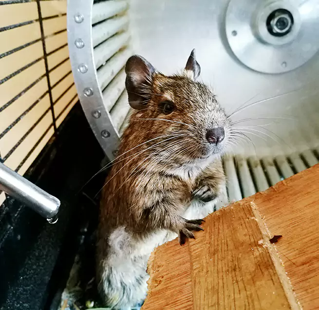 Why Homeowners & Businesses Trust Us Plano, TX?