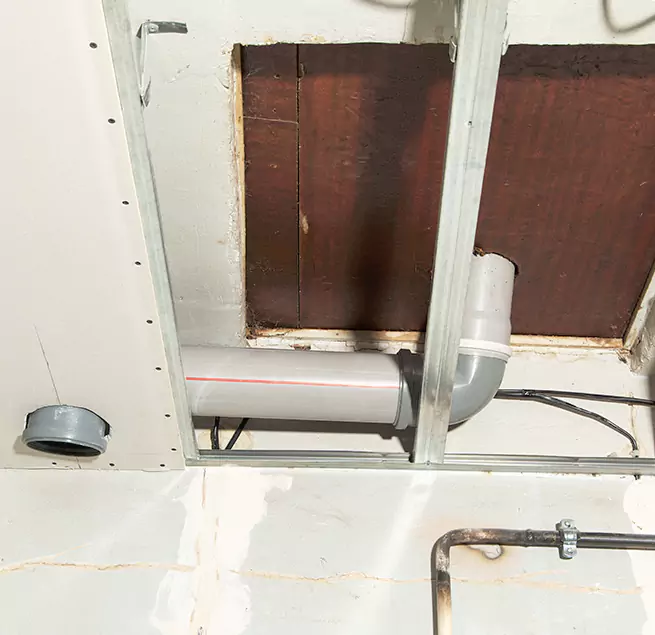 Why Homeowners & Businesses Trust Us in Plano, TX?