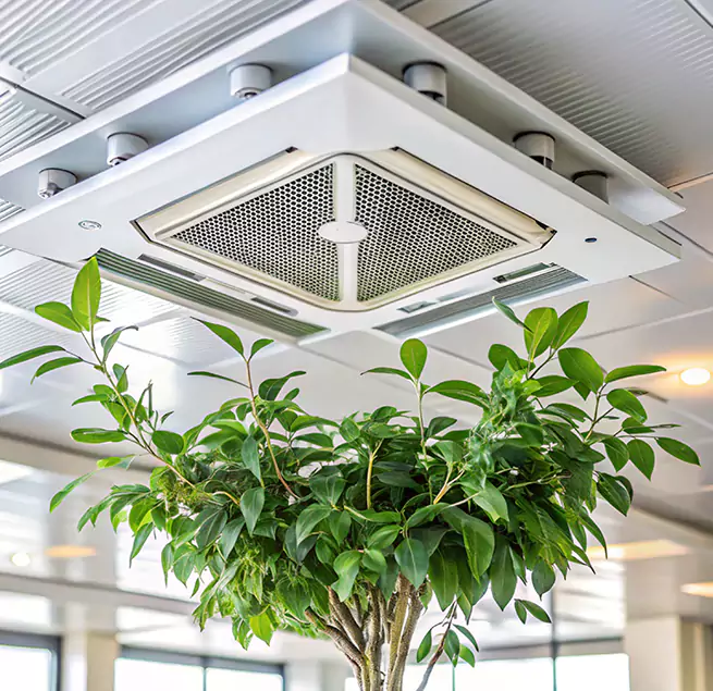 Why Homeowners & Businesses Trust Us in Plano, TX?