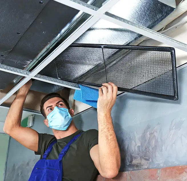 Why Homeowners & Businesses Trust Us in Plano, TX?