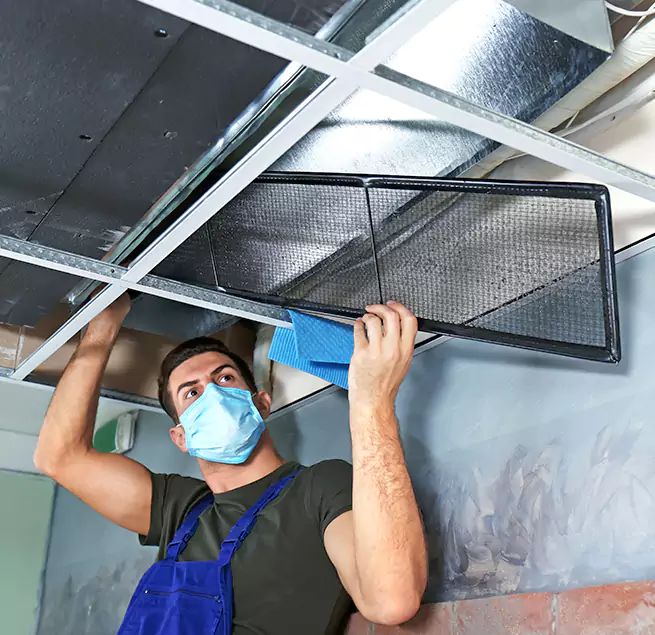  Why Homeowners Businesses Trust Us  in Plano, TX?