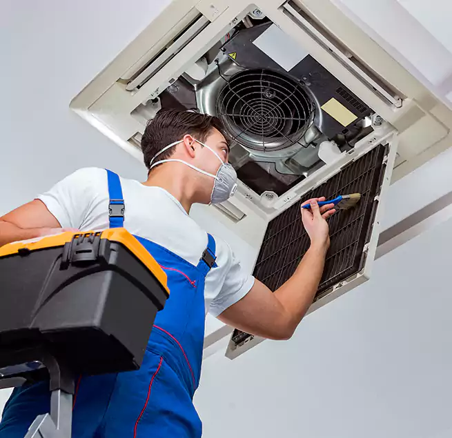 Why Homeowners & Businesses Trust Us in Plano, TX?